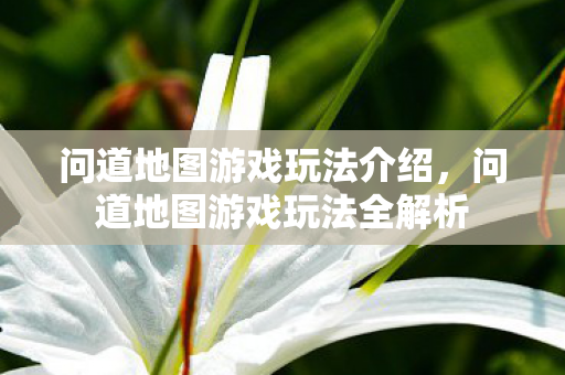 问道地图游戏玩法介绍,问道地图游戏玩法全解析 问道地图游戏玩法介绍,问道地图游戏玩法全解析