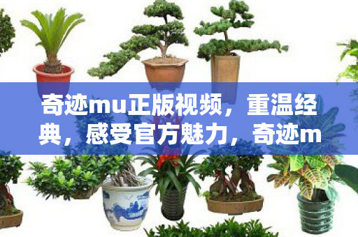 奇迹mu正版视频图片