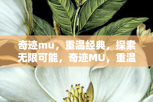 探索无限可能图片