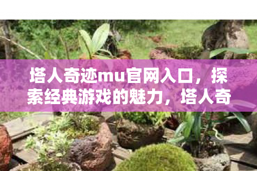 塔人奇迹mu官网入口图片