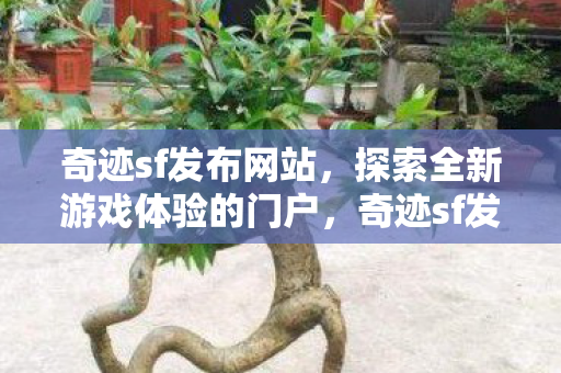 奇迹sf发布网站，探索全新游戏体验的门户，奇迹sf发布网站，探索全新游戏体验的门户