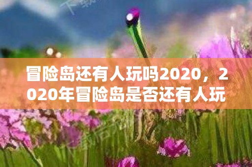 2020年冒险岛是否还有人玩图片