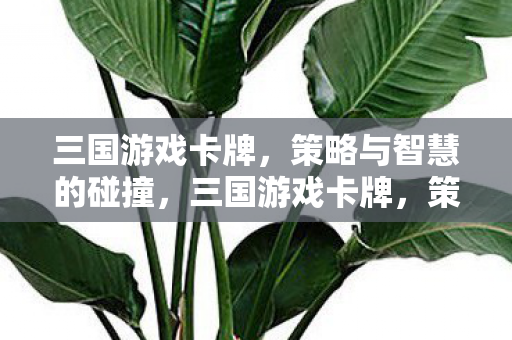 策略与智慧的碰撞图片