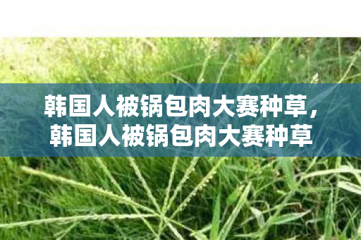韩国人被锅包肉大赛种草图片
