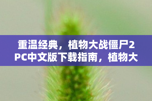 植物大战僵尸2PC中文版下载指南图片