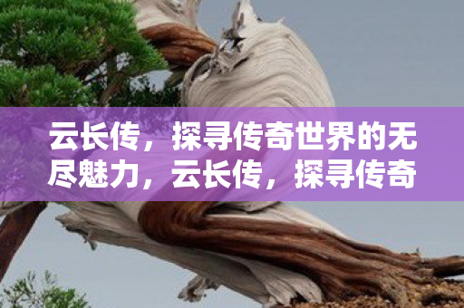 探寻传奇世界的无尽魅力图片