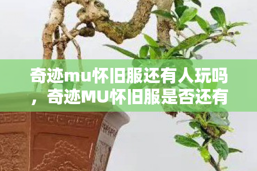 奇迹MU怀旧服是否还有人玩图片