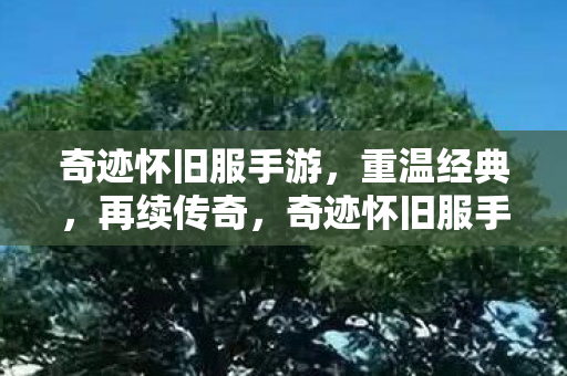 奇迹怀旧服手游图片