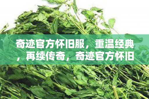 奇迹官方怀旧服图片