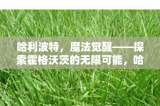 魔法觉醒探索霍格沃茨的无限可能图片