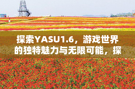 游戏世界的独特魅力与无限可能图片