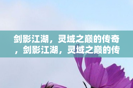 灵域之巅的传奇之旅图片