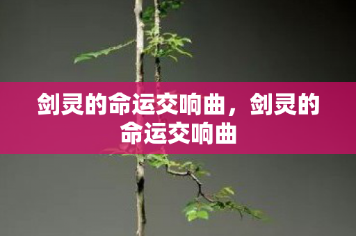 剑灵的命运交响曲图片