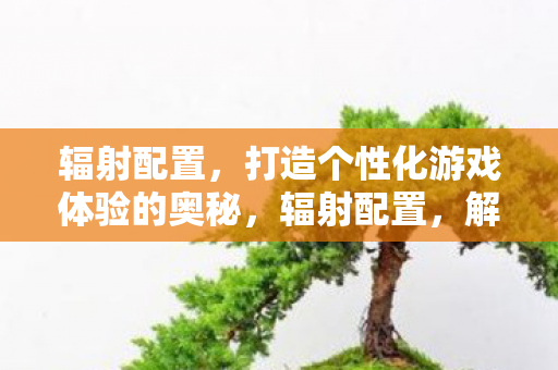 打造个性化游戏体验的奥秘图片