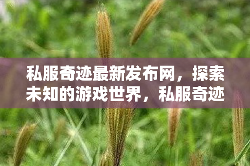 私服奇迹最新发布网，探索未知的游戏世界，私服奇迹最新发布网，探索未知游戏世界的奇妙之旅