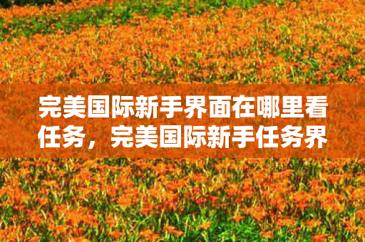 完美国际新手界面在哪里看任务图片