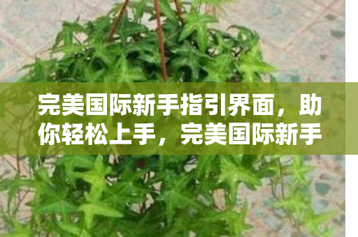 完美国际新手指引界面图片