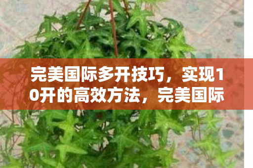 完美国际10开高效方法图片