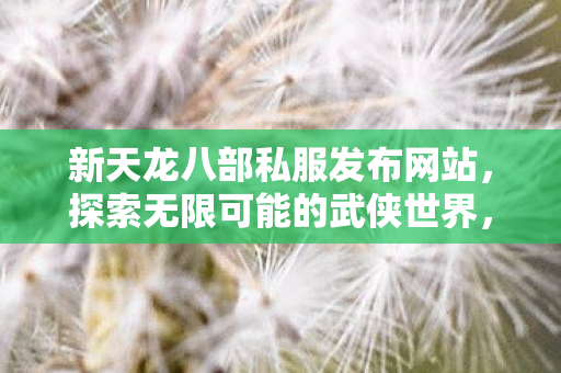新天龙八部私服发布网站图片