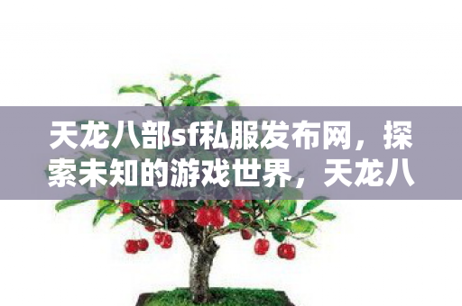 天龙八部sf私服发布网图片