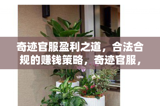 合法合规的赚钱策略图片