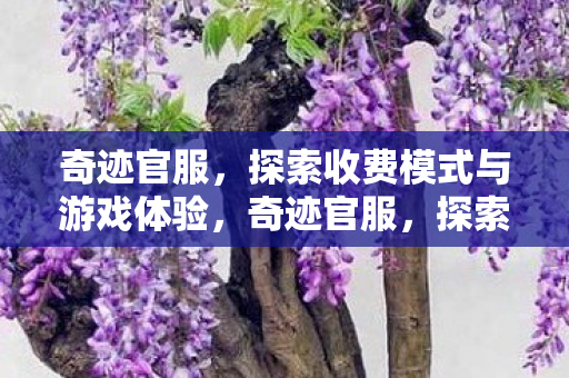 探索收费模式与卓越游戏体验图片