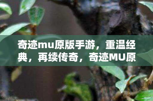 奇迹mu原版手游图片