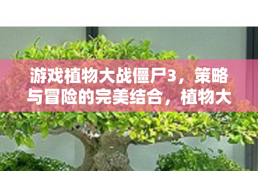策略与冒险的完美结合图片
