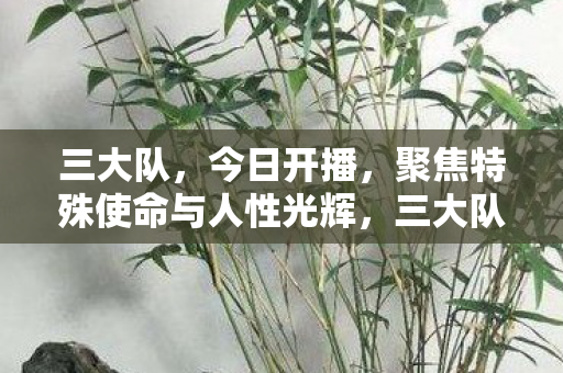 聚焦特殊使命与人性光辉图片