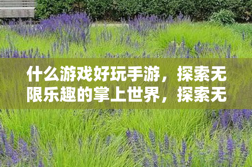 探索无限乐趣的掌上世界图片