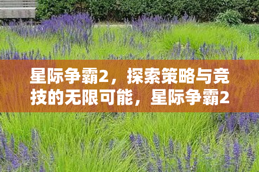 探索策略与竞技的无限可能图片