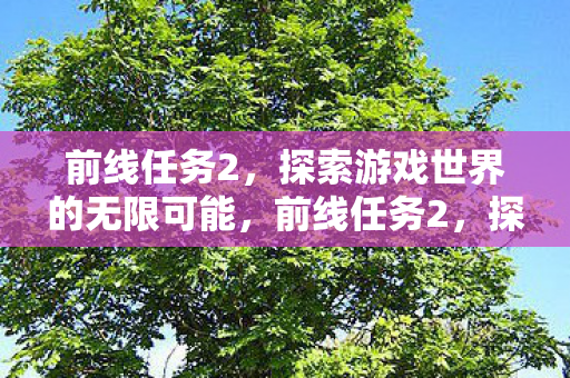 探索游戏世界的无限可能图片
