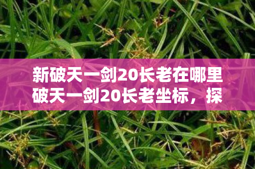 新破天一剑20长老在哪里破天一剑20长老坐标,探索神秘之旅,探索新破天一剑20长老神秘坐标之旅 新破天一剑20长老在哪里破天一剑20长老坐标,探索神秘之旅,探索新破天一剑20长老神秘坐标之旅