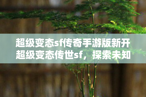 超级变态sf传奇手游版新开超级变态传世sf图片