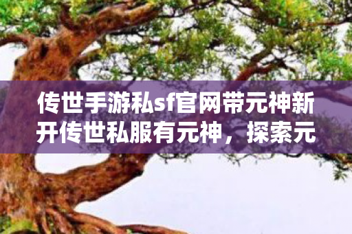 传世手游私sf官网带元神新开传世私服有元神图片