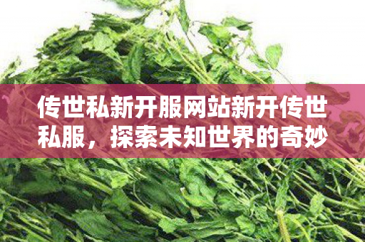传世私新开服网站新开传世私服图片