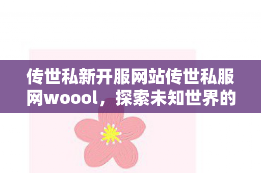 传世私新开服网站传世私服网woool图片