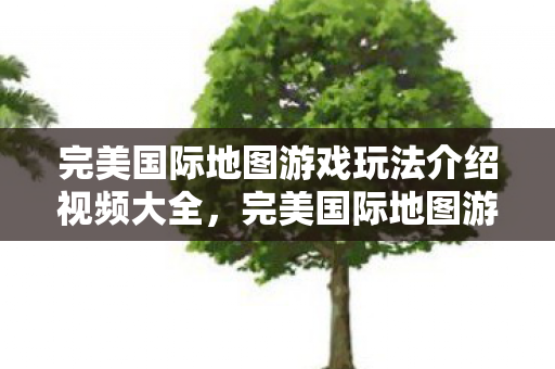 完美国际地图游戏玩法介绍视频大全图片