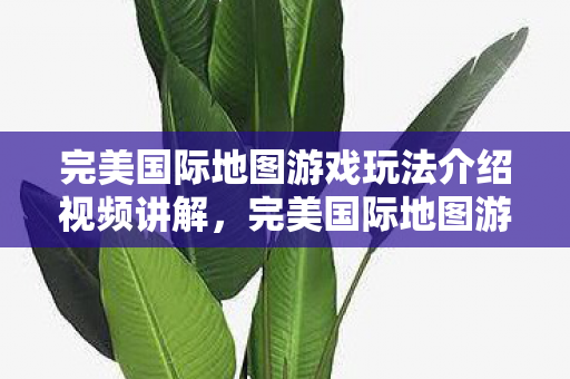 完美国际地图游戏玩法介绍视频讲解图片