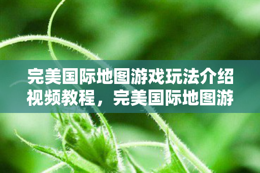 完美国际地图游戏玩法介绍视频教程图片