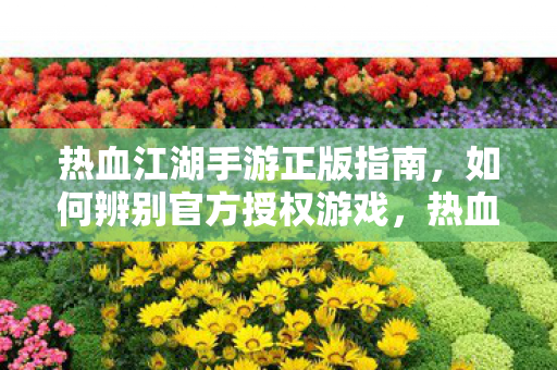 热血江湖手游正版指南,如何辨别官方授权游戏,热血江湖手游正版辨别指南 热血江湖手游正版指南,如何辨别官方授权游戏,热血江湖手游正版辨别指南