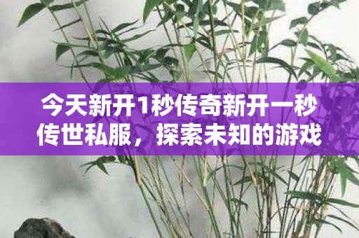 今天新开1秒传奇新开一秒传世私服图片