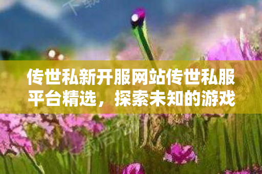 传世私新开服网站传世私服平台精选图片