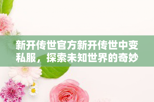 新开传世官方新开传世中变私服图片