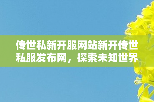 传世私新开服网站新开传世私服发布网图片