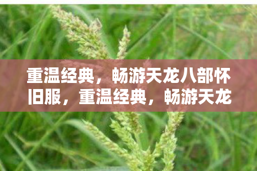 畅游天龙八部怀旧服图片