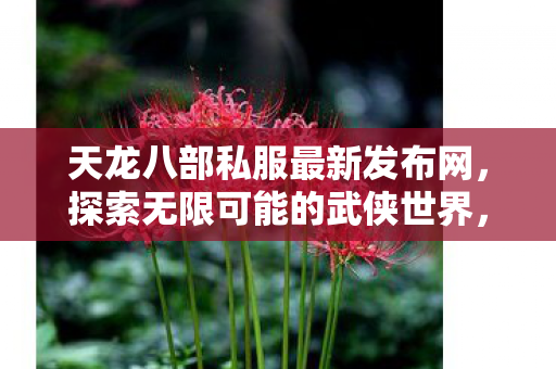 天龙八部私服最新发布网图片