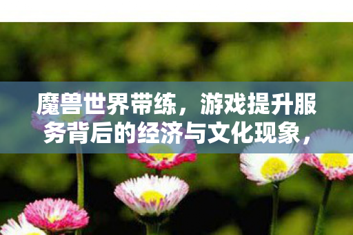游戏提升服务背后的经济与文化现象图片