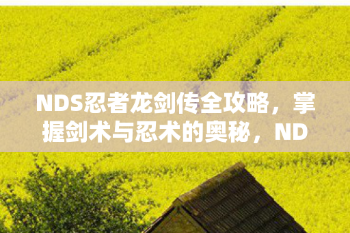 NDS忍者龙剑传全攻略图片