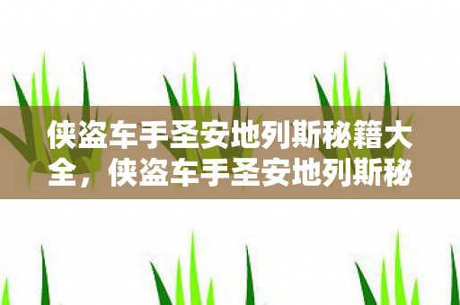 侠盗车手圣安地列斯秘籍大全图片
